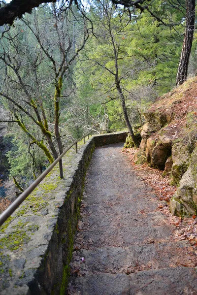 DSC_5919 (Large).JPG